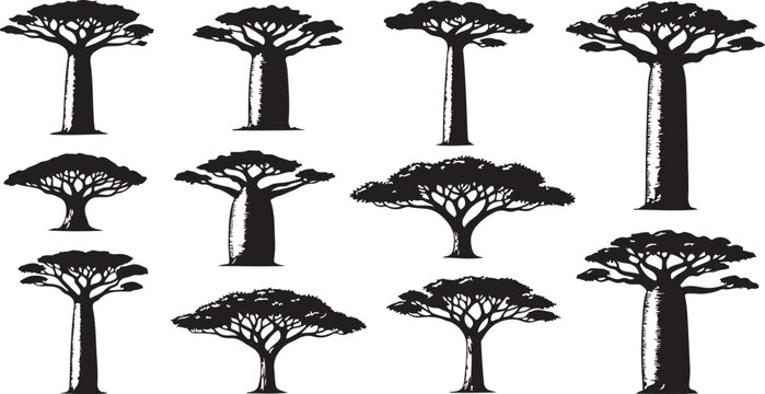 Set of nine baobab trees isolated black and white flat design vector illustration scalable graphic art