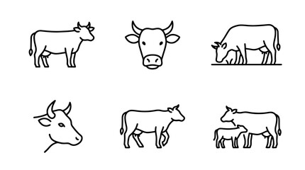 Obraz premium collection of cow, minimal thin icon vector set , white background , PNG and SVG isolate