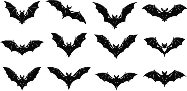 Bat silhouettes with wide wings spread, Halloween vector illustration, nocturnal animal design art for decoration and spooky culture themes