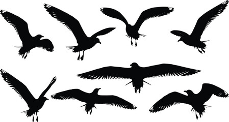 Bird silhouettes in flight with wings spread, seabirds, gulls, dynamic motion, wildlife, nature, freedom, sky, ornithology, design, illustration icons