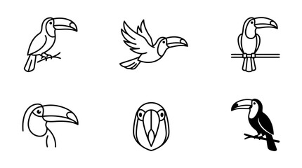 Fototapeta premium collection of toucan, minimal thin icon vector set , white background , PNG and SVG isolate