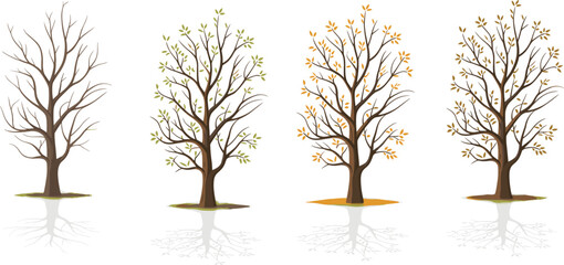 Four stylized trees depicting seasonal changes with bare branches, sparse green leaves, sparse orange leaves, and full brown leaves on a white background © Hey world