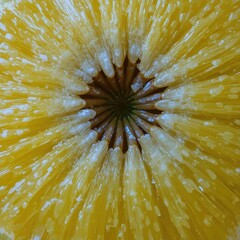 Detailed Close-Up of a Fresh Pineapple Exposing a Vibrant Yellow Texture and Pattern