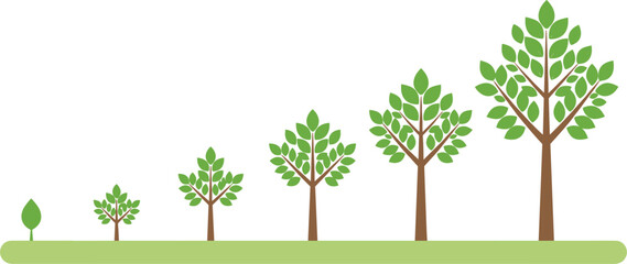 Vector illustration showing various stages of tree growth from a small green sprout to a fully mature tree with lush foliage.