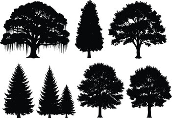 Vector illustration of stylized tree silhouettes symbolizing nature, ecology, identity, diversity, culture, tradition, inclusivity, and education