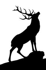 Fototapeta premium Majestic elk silhouette standing proudly on rocky outcrop