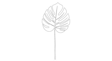 Single Monstera Deliciosa Leaf Continuous Line Drawing Botanical Art © StockSynergy