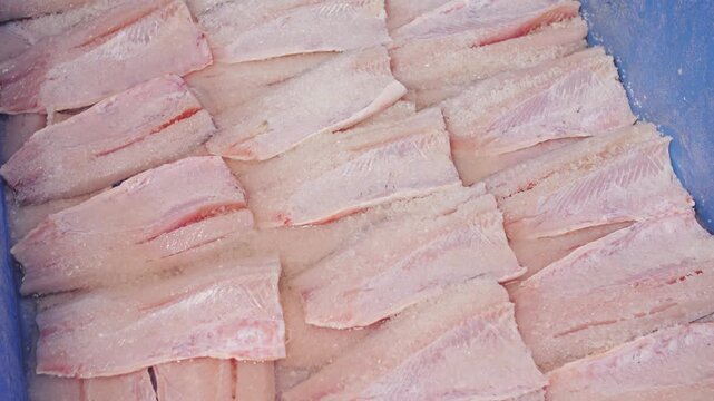 Frozen whitefish fillets stacked in blue container