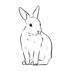 Obraz premium Hand-drawn rabbit line art illustrations. Cute bunny sketches. Minimalist vector clip art for Easter, pets, and nature themed projects