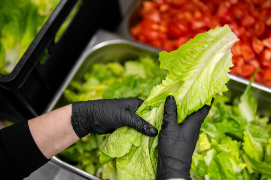 A person wearing black nitrile gloves holds a fresh romaine lettuce leaf over a metal container in a commercial kitchen setting, with chopped tomatoes visible in the background