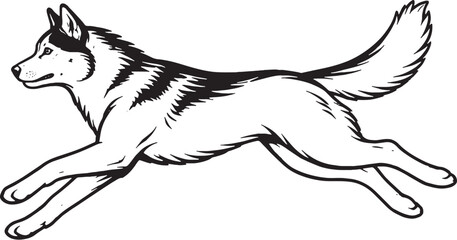 Siberian Husky Running Side View Black and White Line Art Dog Illustration © luu