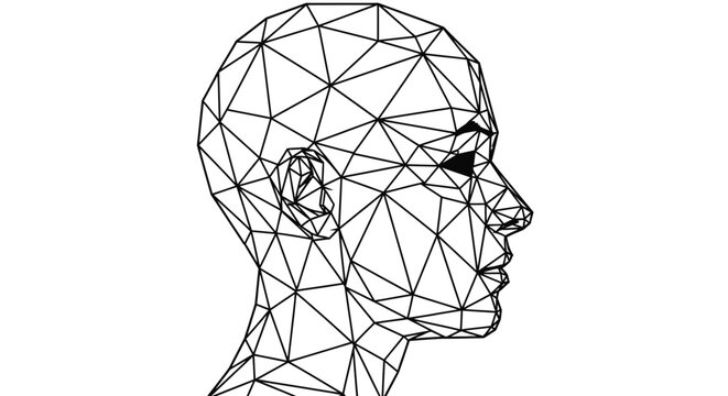 Low poly wireframe human head profile on white background.