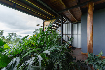 Fototapeta premium Modern tropical home design integrating plants and industrial elements