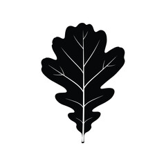 Fototapeta premium Oak Leaf Nature Botanical Silhouette Vector Illustration