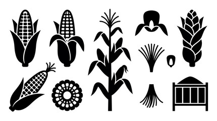 Naklejka premium Collection of black corn silhouettes including cob kernels stalks and agricultural plant icons isolated on white background, concept for farming infographics, branding and product packaging