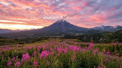 Majestic mountain landscape with vibrant pink flowers at sunset