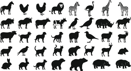 Wild and domestic animal silhouettes, vector wildlife illustration, farm and safari creatures artwork, educational animal design, black silhouette animal drawing © Razia