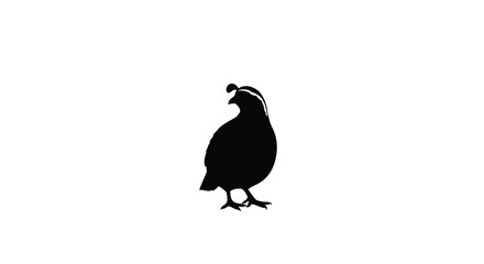 Fototapeta premium A striking black silhouette of a quail in a simple pose silhouette
