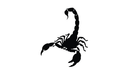 A striking black scorpion depiction against a white background silhouette © MD
