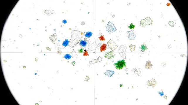 Microplastics particles under microscope