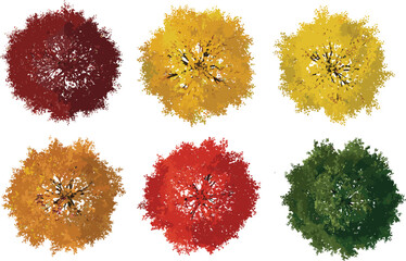 Top view collection of autumn tree plan symbols in red orange yellow and green colors for architectural landscape design site planning and fall seasonal maps © Moshaharul's World