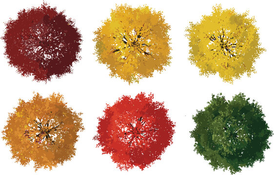 Top view collection of autumn tree plan symbols in red orange yellow and green colors for architectural landscape design site planning and fall seasonal maps
