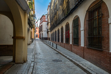 Fototapeta premium Empty Cobblestone Alley