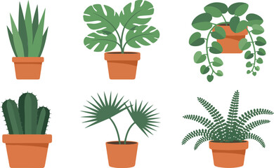 Obraz premium Collection of Six Popular Indoor Houseplants in Terracotta Pots Including Succulents, Palms, and Leafy Green Foliage Vector Illustration