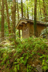 森の中の小さな祠