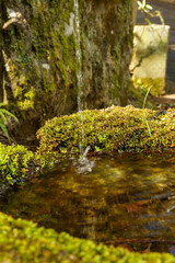 流れ落ちる清らかな湧水