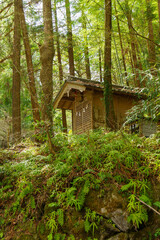 森の中の小さな祠