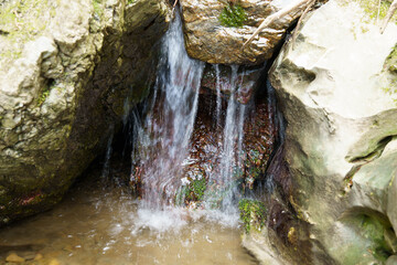 小川の小さな滝壺
