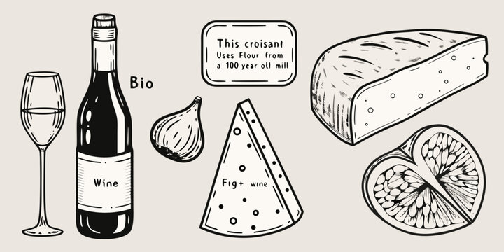 A charming sketch of wine cheese figs and a croissant illustration