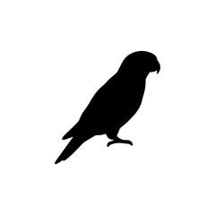 Fototapeta premium Black silhouette of a parrot standing alone on white background