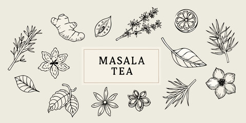 Botanical illustration of spices and herbs used in masala tea © Mithun