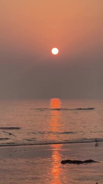 A stunning 1080p cinematic sunrise over the sea in Weihai, China, featuring brilliant sun reflections on the water and seagulls flying over the shore.