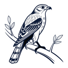 Obraz premium bird on a branch