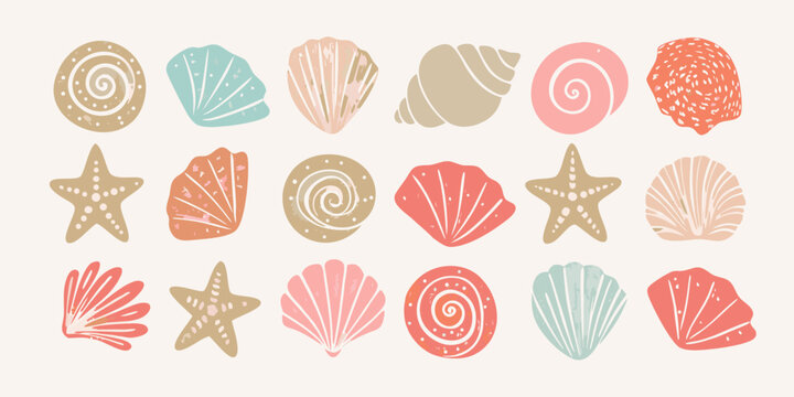 A collection of colorful hand drawn seashells starfish and spiral marine life