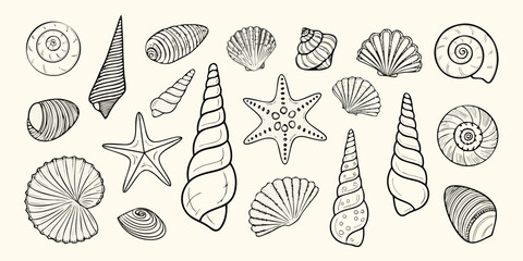 Variety of black and white seashells and a starfish illustration © Bijoy