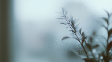 Obraz premium objects behind frosted glass, subtle blur, soft daylight, modern abstract design, minimal composition, artistic photography