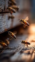 Bees gracefully flying towards a rustic hive box, showcasing detailed wing motion and a warm, harmonious glow.