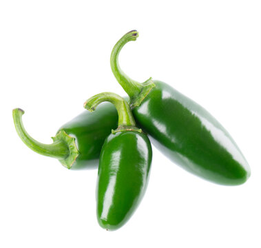 Fresh jalapeno pepper isolated on white background. Slices of green hot serrano pepper. Clipping path.