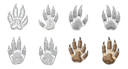 Fototapeta premium Animal Paw Prints Set - Various Mammal Tracks Illustration