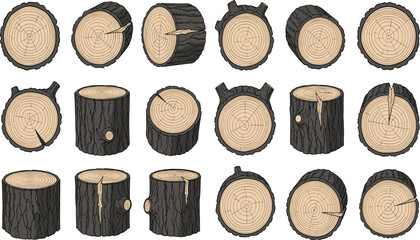 Collection of Wood Log Sections and Tree Trunks with Bark and Annual Rings, Isolated Vector Illustrations for Timber and Forestry Design © Farzana