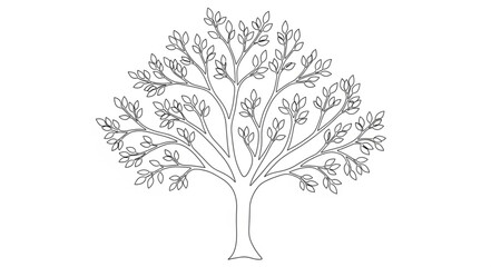 Detailed Illustration of a Large Deciduous Tree.