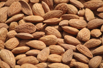 Fototapeta premium almonds close up