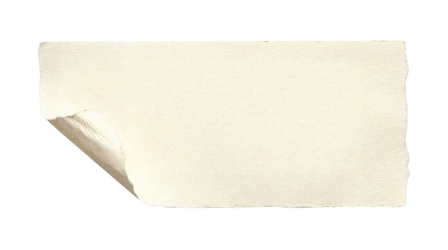 Blank torn white paper sheet with folded corner on light beige background, textured ripped edge for copy space, minimal mockup backdrop
