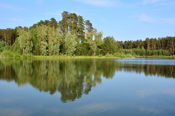 Fototapeta premium Serene Forest Lake with Clear Reflections in sunset copy space