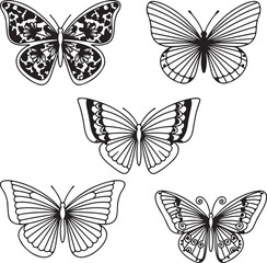 Butterfly illustrations in black and white © AFSONA