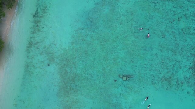 People snorkeling with turtles in tropical coral reef. Magic aerial view drone